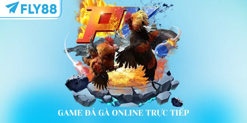 Game đá gà online trực tiếp từ đấu trường