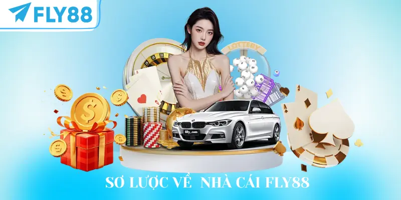 Sơ lược về quá trình phát triển của FLY88